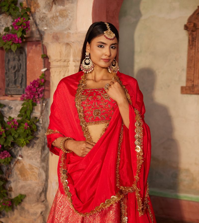 Gajiri Pink Lehenga