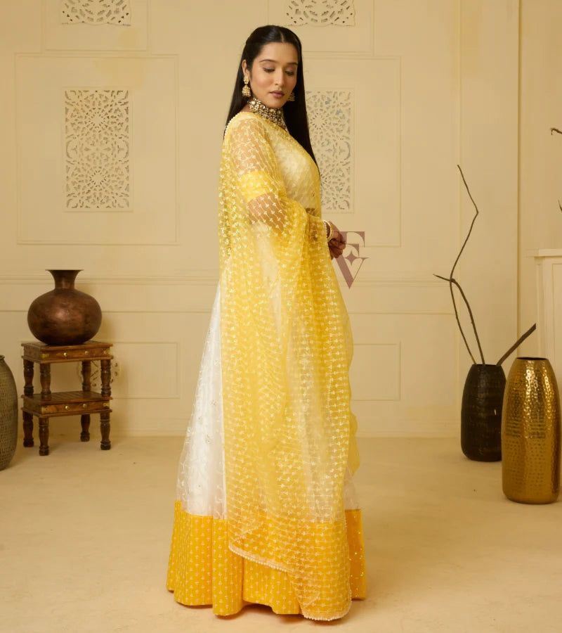 An elegant white and yellow lehenga